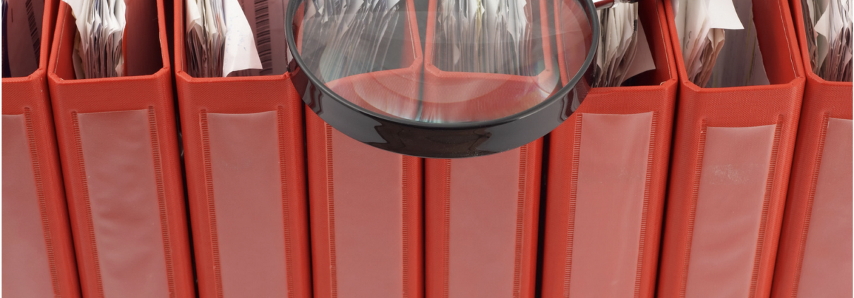 Botched Domestic Assault Investigation