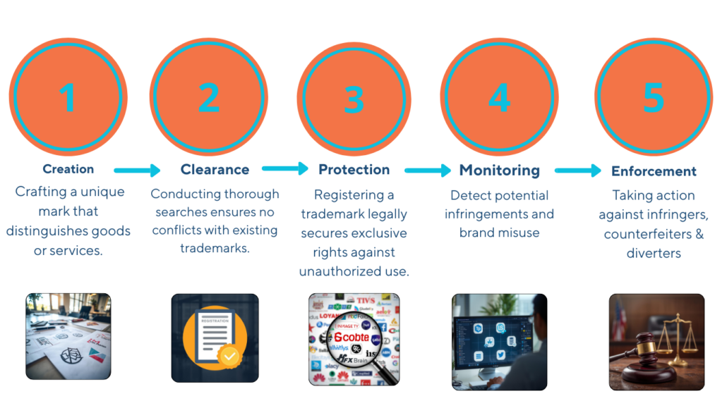 Life Cycle of Intellectual Property